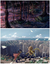 Made In Abyss: Tankutsu Kiroku Art Book - comprar online