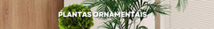 Banner da categoria Plantas Ornamentais