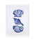 Quadro Conchas Blue - comprar online