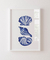 Quadro Conchas Blue na internet