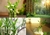 Difusor e Home Spray de Bamboo 250ml - Cahbs Aromas - Cahbs Aromas