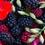 Moras y Fresias - comprar online