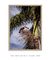 Bico de Sol - comprar online
