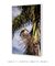 Bico de Sol - comprar online