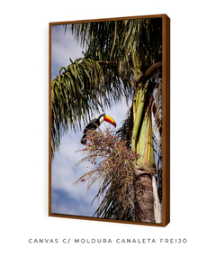 Bico de Sol - comprar online