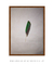 Green Feather - loja online