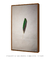 Green Feather - loja online