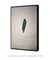 Imagem do Green Feather