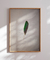 Green Feather - Patrick Martins