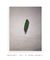 Green Feather - comprar online