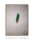 Imagem do Green Feather