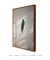 Green Feather