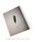 Green Feather - Patrick Martins