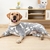 Roupa Pijama de Inverno para Cachorros Confortável na internet