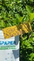 Papel Hidrossensível 76x26mm - 50 Pçs, Wspaper na internet