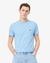 PERM CAMISA LACOSTE MINI LOGO - comprar online