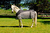 Manta De Red Cooler Sheet Madoc - Madoc