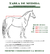 Manta De Red Cooler Sheet Madoc en internet