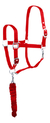 Bozal HDG Nylon Con Cabestro