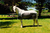 Manta De Red Cooler Sheet Madoc - comprar online