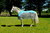 Manta De Red Cooler Sheet Madoc - comprar online