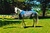 Manta De Red Cooler Sheet Madoc - Madoc