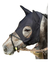 Liquid Titanium Mask With Ears en internet