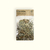 LLANTEN de TRASLASIERRA / Antiinflmatorio - Descongestivo x 50g