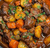 GUISO DE CARNE Y VERDURITAS - comprar online