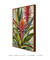 Bromélias 2 - Whimsi | Quadros Decorativos e Arte Impressa com Estilo