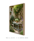 Canto Provençal - comprar online