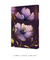 Imagem do Explosão de Flores