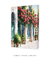 Imagem do Fachada com Flores