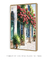 Fachada com Flores - comprar online