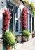 Fachada com Flores - whimsi