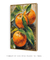 Laranjas 3 - comprar online