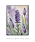 Lavanda 3 - loja online