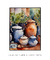 Potes & Plantas - loja online
