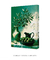 Imagem do Verde Ancestral 3