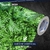 Adesivo Alltak Decor Jardim Vertical 1,00 X 1,22m