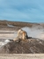 Tatio - Pueblos en internet