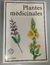 Plantes Médicinales - Autor: Frantisek Starý (1992) [usado] - comprar online