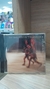The Rhythm Of The Saints - Interprete: Paul Simon (1990) [usado]