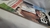 Veja 1390 Ano N´º 18 - Veja Exclusivo o que Matou Senna - Autor: - (1995) [usado] - comprar online