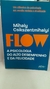 Flow - a Psicologia do Alto Desempenho e da Felicidade - Autor: Mihaly Csikszentmihalyi (2022) [usado]