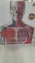 O Livro do Corpo Humano - Autor: Steve Parker (2014) [usado]