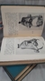 História da Caricatura no Brasil - 3 Volumes (2, 3 e 4) - Autor: Herman Lima (1963) [usado] - comprar online