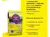 massa-glasurit-prepara-pro-10kg-preparo-superficial-profissional - comprar online