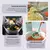 Imagem do Kit 12 Utensílios De Cozinha Em Silicone E Cabo De Madeira
