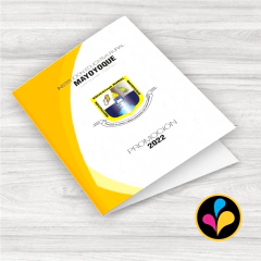 Carpeta portadiploma Papel full color - comprar en línea